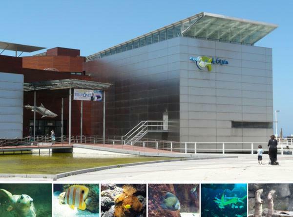Primera Linea Playa+Parking Gratis Gijon Ngoại thất bức ảnh